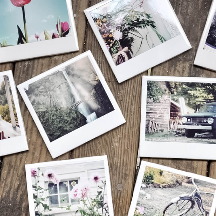Pola Fotoğraflar
