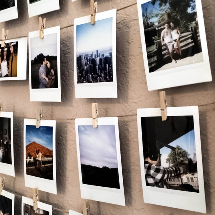 Pola Fotoğraflar